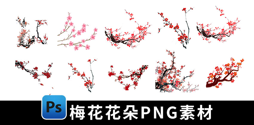 【1847期】PNG素材-水墨梅花花朵免扣PNG素材合集下载