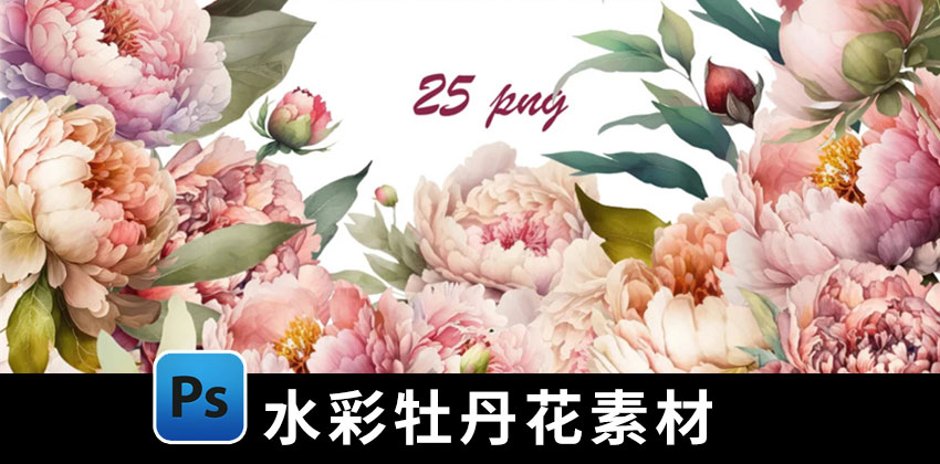 【2275期】PNG素材-水彩植物牡丹花叶子PNG素材