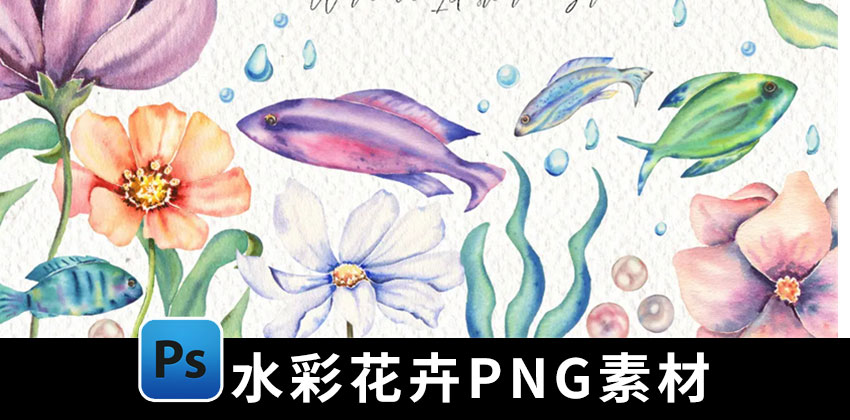 【2280期】PNG素材-水彩花卉植物鱼类PNG素材合集